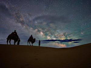 Mongol Altai Tour Camp
