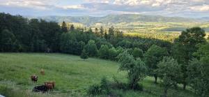 Panorama Trojmezí