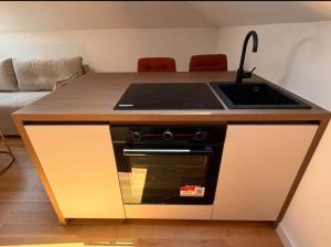 Viktor apartmani