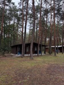 Ośrodek Świt Wilga