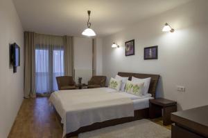 Superior Double or Twin Room room in Cetatuia