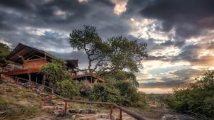 Serengeti Migration Camp