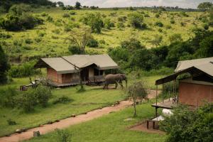 Serengeti Migration Camp
