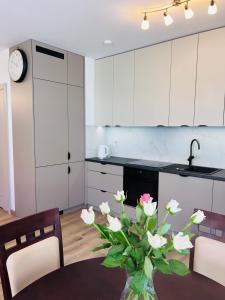 Odlewnicza 64 Apartament Krowodrza
