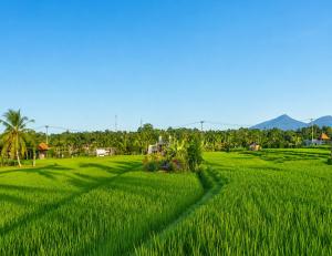 Kubu Tama Villa