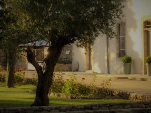 Hotels Logis Hotel Chateau De Palaja : photos des chambres