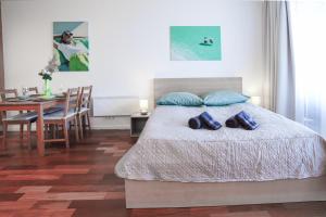 BL lakeside with Pool, medencés apartman, privát partszakasszal