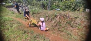 Munnar Village Homes