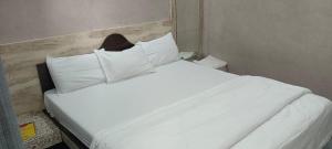 Vishwa hotel and lodging