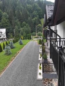Apartamente Casa Albu