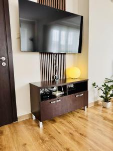 Spacious and stylish apartment near the center