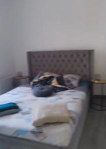 NEW Studio
