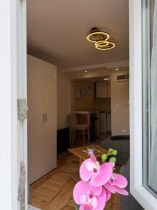 MOKA Zlatibor Apartment