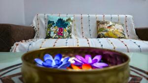 Qafila Stays- Cosy 1 BHK studio appartment
