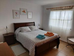 Casa do Gabriel spacious Madeirian villa with private garden and ocean view