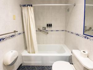 Cavi Rooms 504