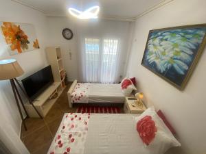 Albi Apartmet beachfront in Shengjin