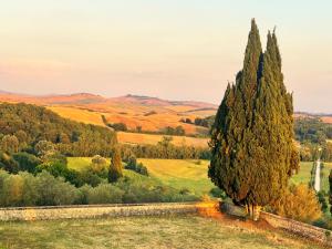 Villa Poggio in Chianti - Winery - Siena