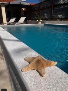 Villa Asterias
