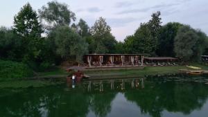Skadar Lake Life