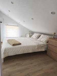 Alfi plus apartment