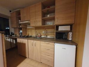 Apartament Central Traian Moșoiu