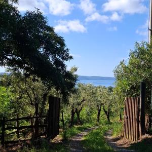 La Fagianella