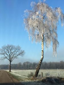 Vakantiepark Vosseven 77