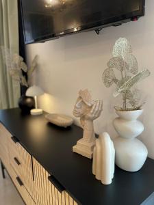 35 Penthouse Apartment Cluj-Napoca