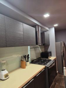 Lujoso Apto 1BR Vista a la Ciudad