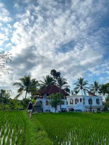 Tetebatu Sunset House