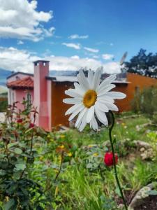 La Maruca Hostel de montaña y turismo