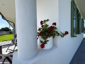 Levendula Apartman