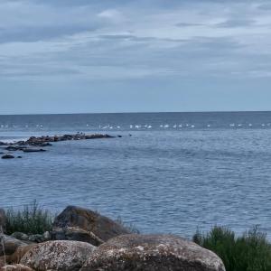 Kihnu saar, Rootsiküla , Pähklimetsa kogu maja sauna ja kümblustünniga
