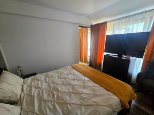 Paradisul Dunării Hinova II