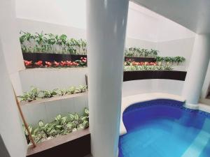 Avana Hills Tagaytay Manor Amsterdam Suites