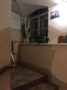 Standard Double Room room in Guest House Nevsky 6