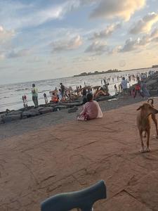 Beach hotel Alibag