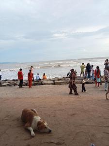 Beach hotel Alibag