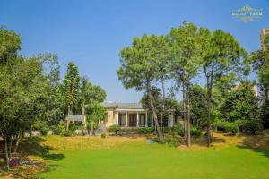 The Mint Green farmhouse