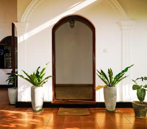 Leela healing resort