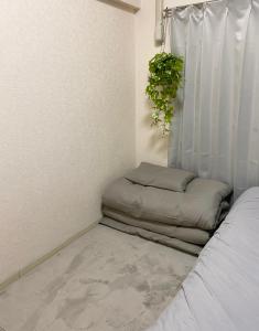 JShouse Tenjin Studio