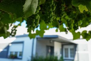 Kuća za odmor BARBARELLA - prostrani 2BR apartman, parking & WiFi