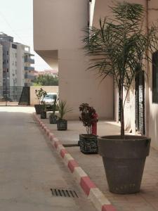 Appartement F3 dans une résidence sécurisée