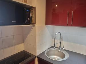 Studio confortable, vue Mont Blanc - 2 pers. (68 unités) - FR-1-181-2577