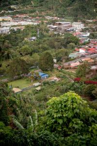 Valmonte Coffee Farm