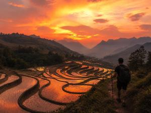 Surelee Homestay & Sapa Trekking Tours by Local Path