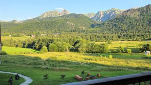 Enklawa Polany - Scenic Mountain View Retreat with Natural Pool by Downtown Apartments
