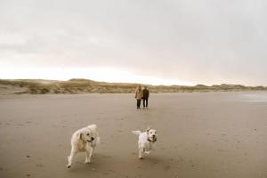 De Juttershut | Callantsoog