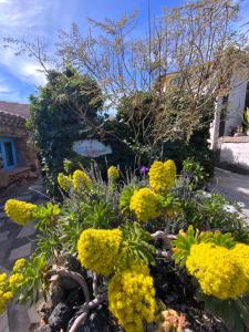 Casas ALBERTO TELEWORKING